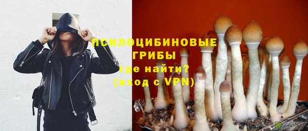 прущая мука Вязники