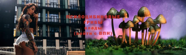 спиды Волосово