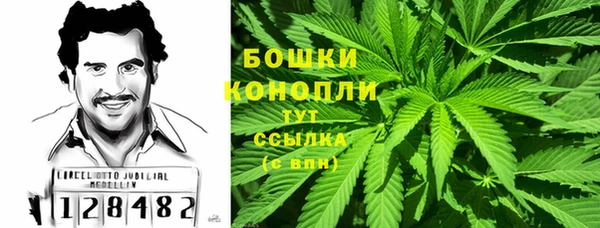 спиды Волосово